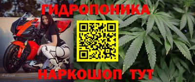 гидра Гусев
