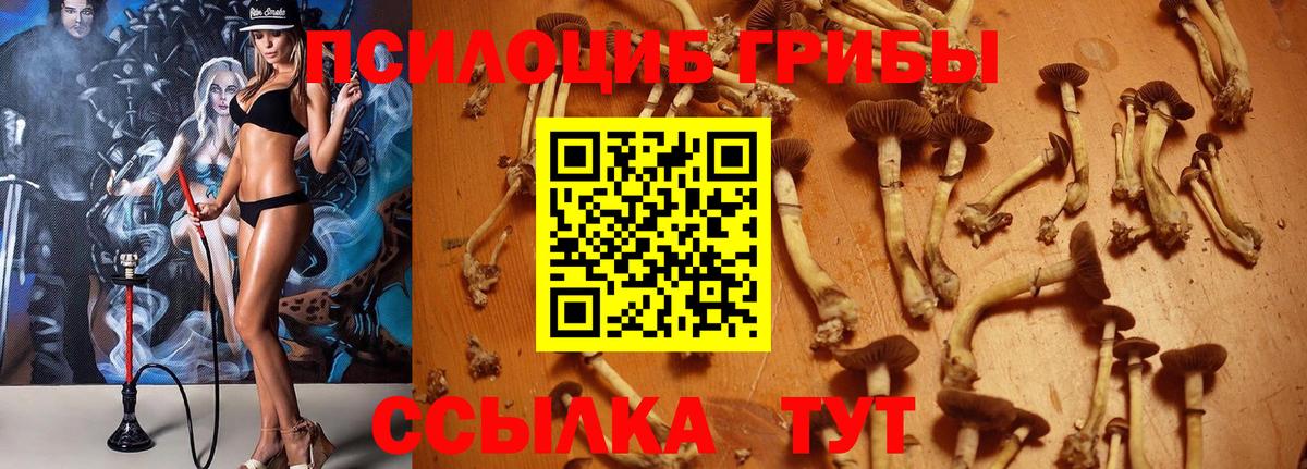 Луховицы  Галлюциногенные грибы GOLDEN TEACHER  Псилоцибиновые грибы Magic Shrooms  Вход с VPN 